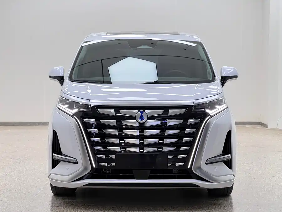 BYD D9