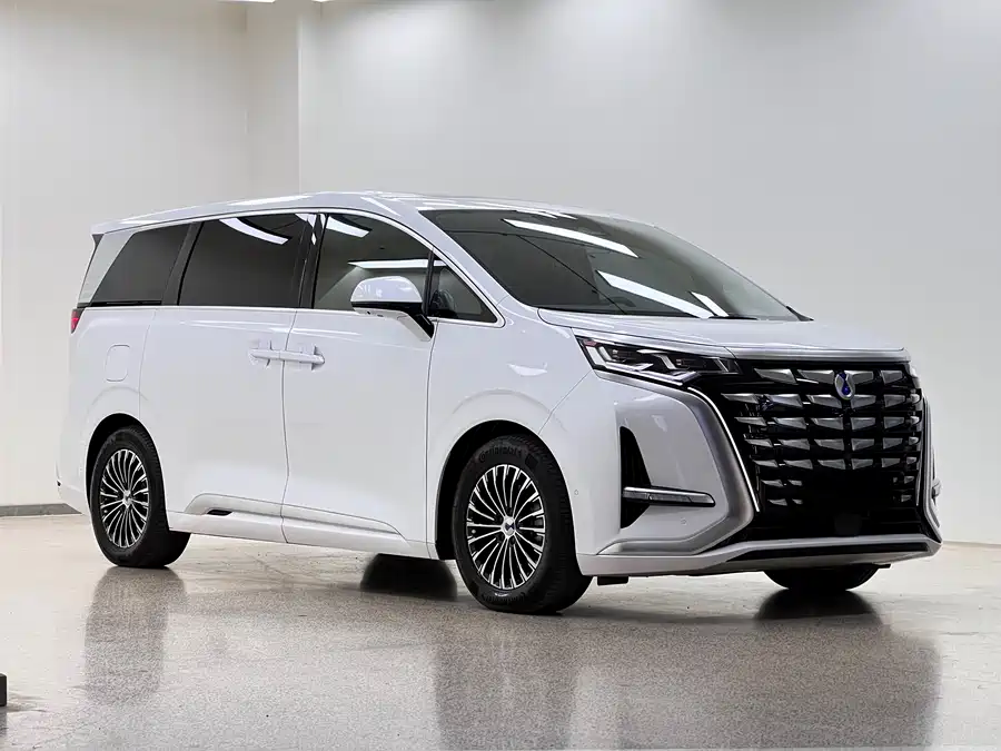 BYD D9