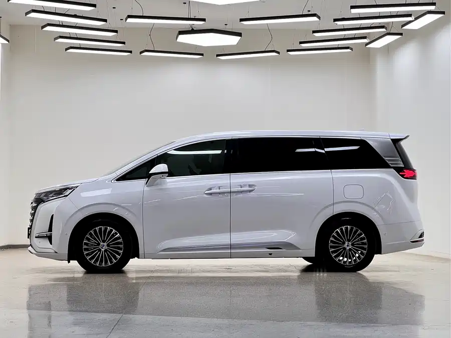 BYD D9
