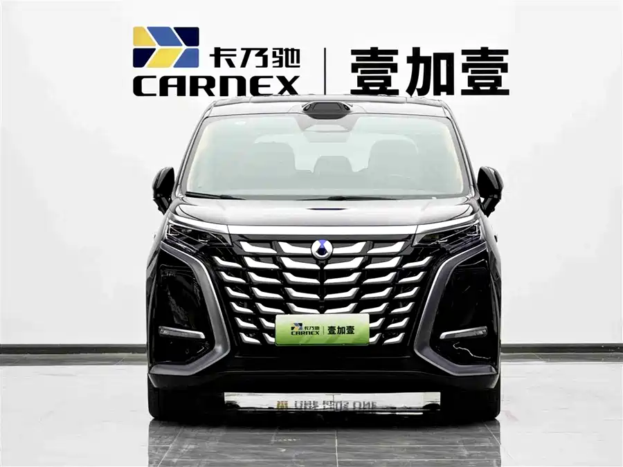 BYD D9