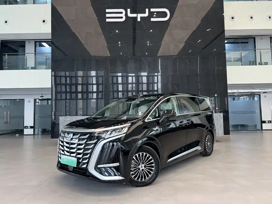 BYD D9