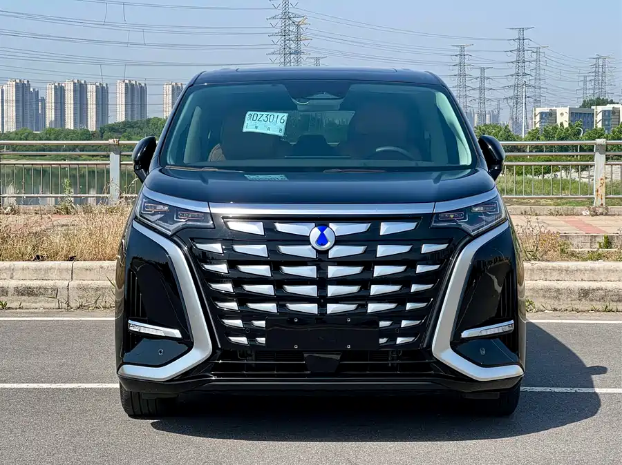BYD D9