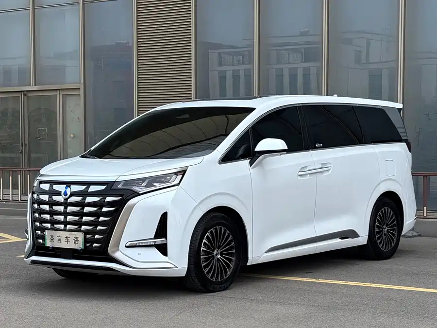 BYD D9