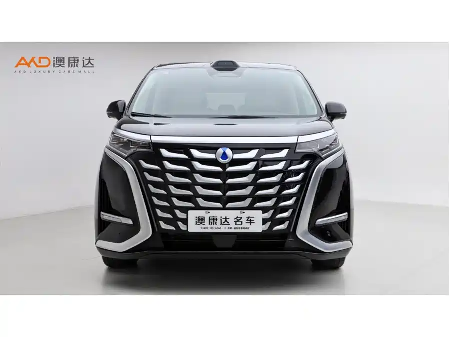 BYD D9
