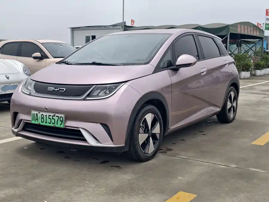 BYD Dolphin