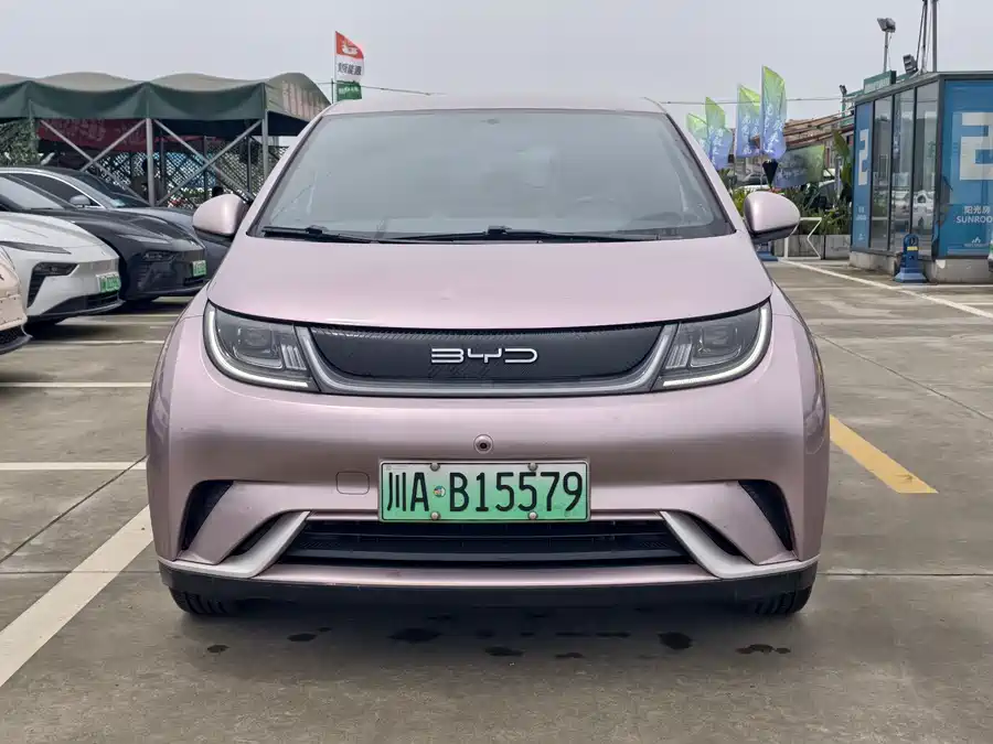 BYD Dolphin