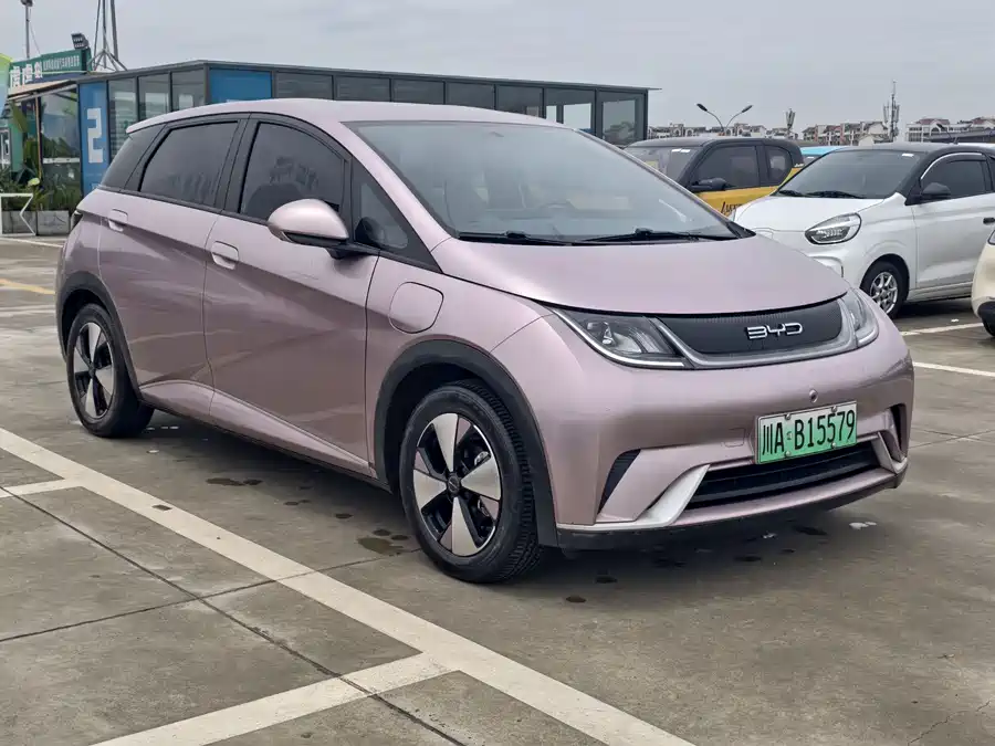 BYD Dolphin