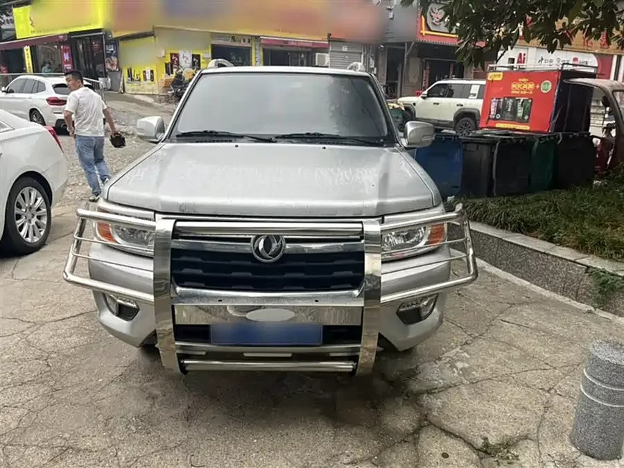 Dongfeng Ruiqi