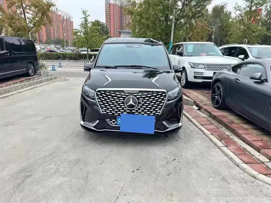 Mercedes Benz Class V