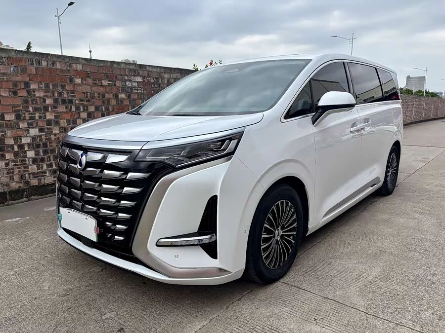 BYD D9