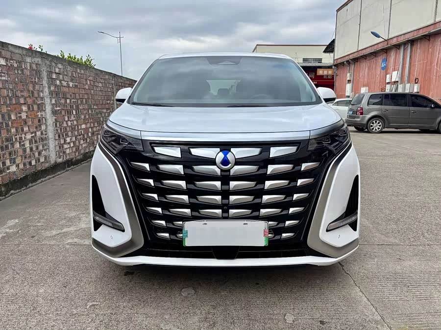 BYD D9