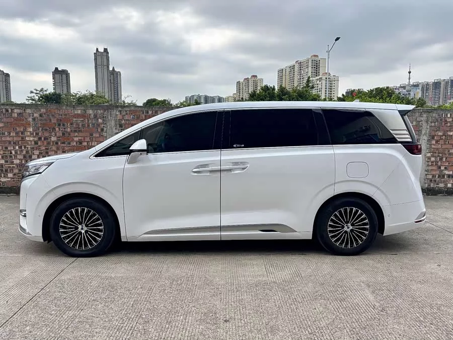 BYD D9