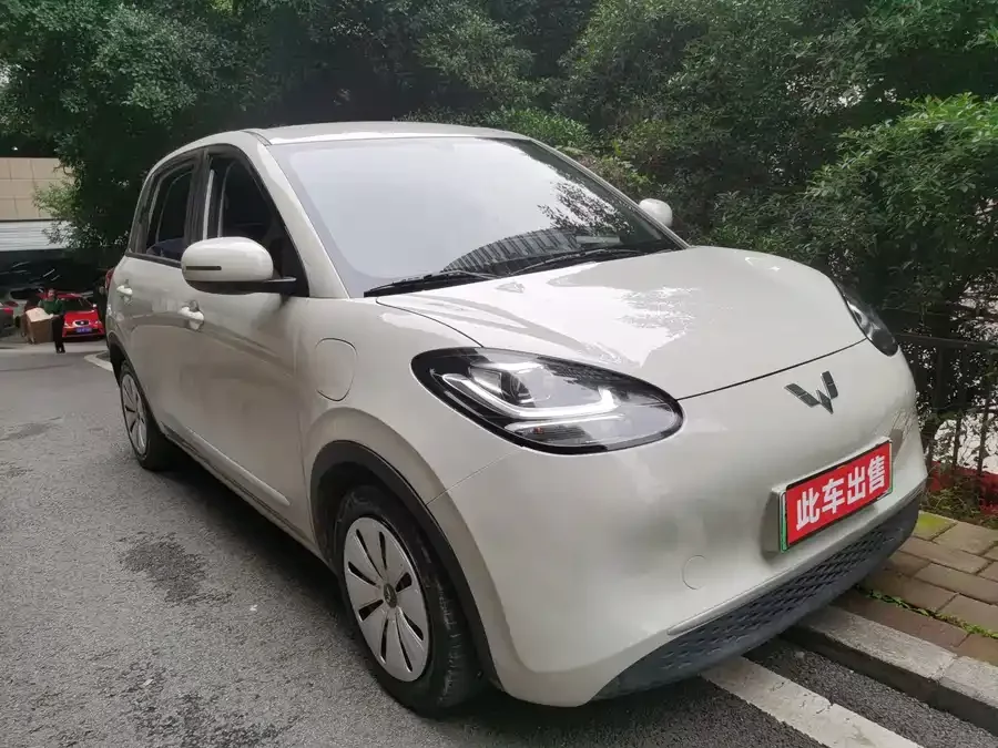 Wuling Bingo