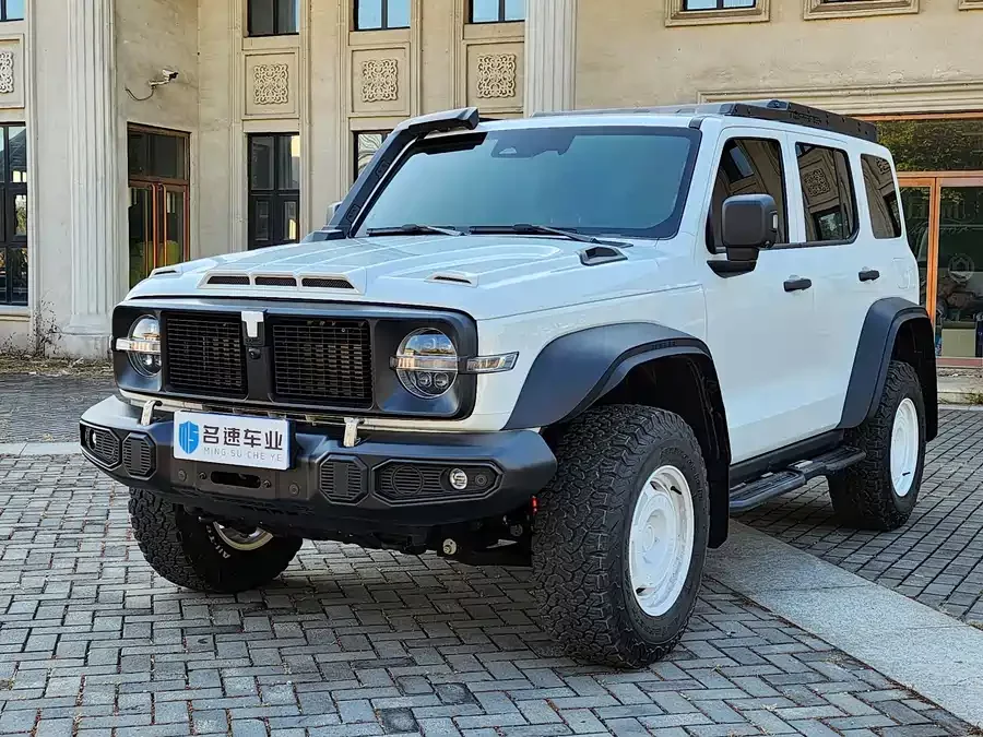 TANK 300