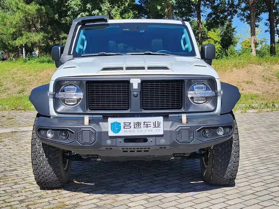 TANK 300