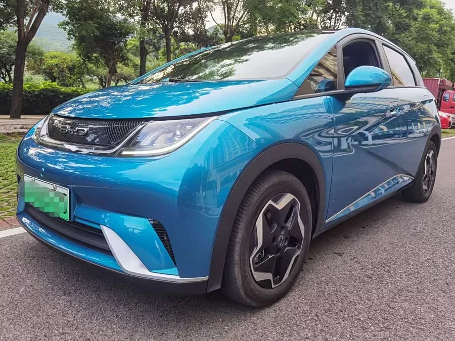 BYD Dolphin