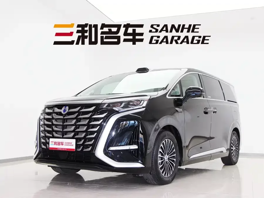 BYD D9