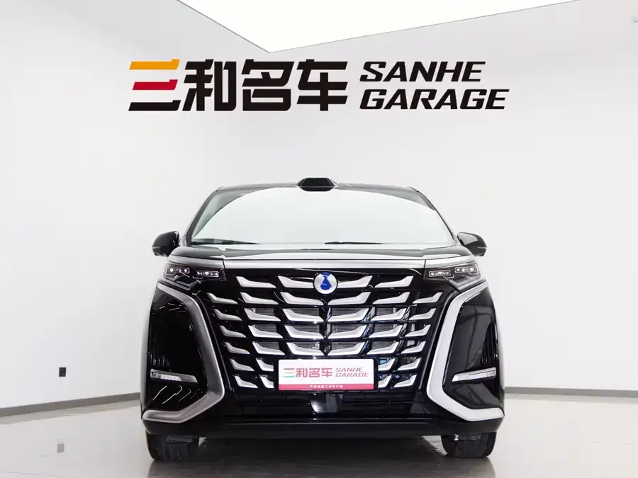 BYD D9