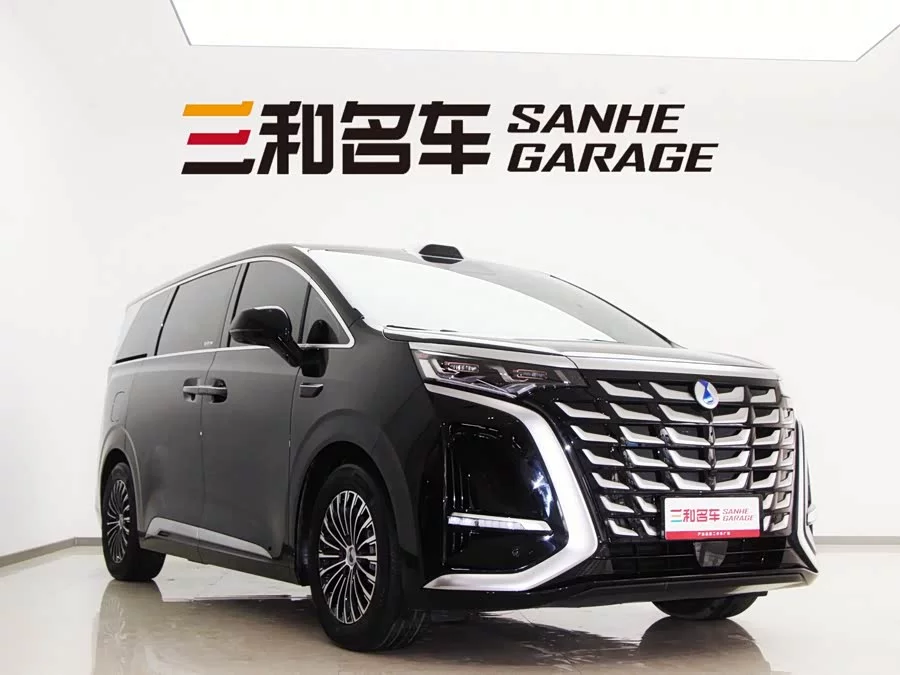 BYD D9