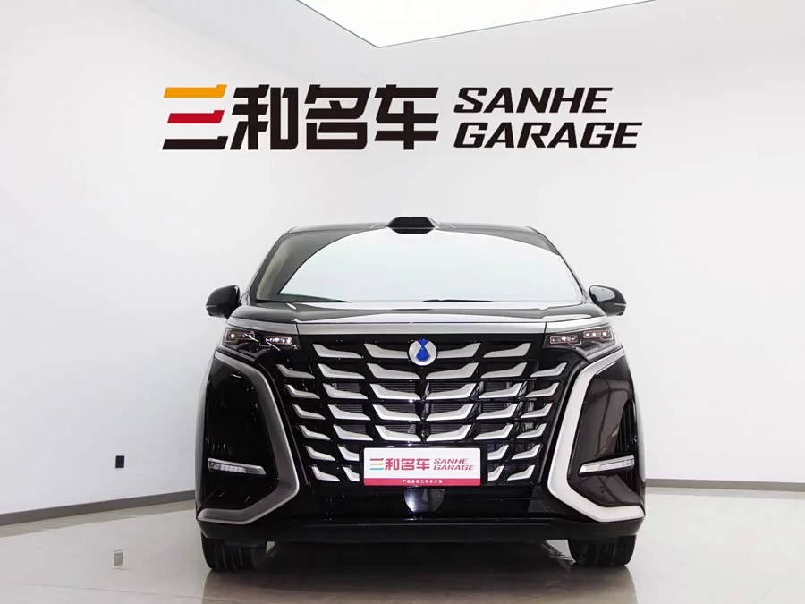 BYD D9