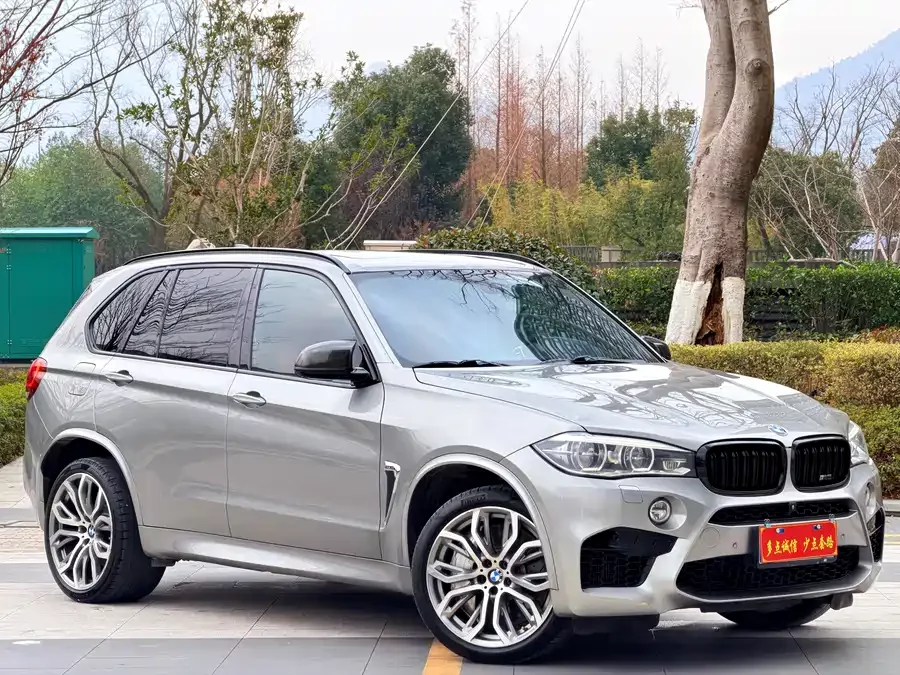 BMW X5M