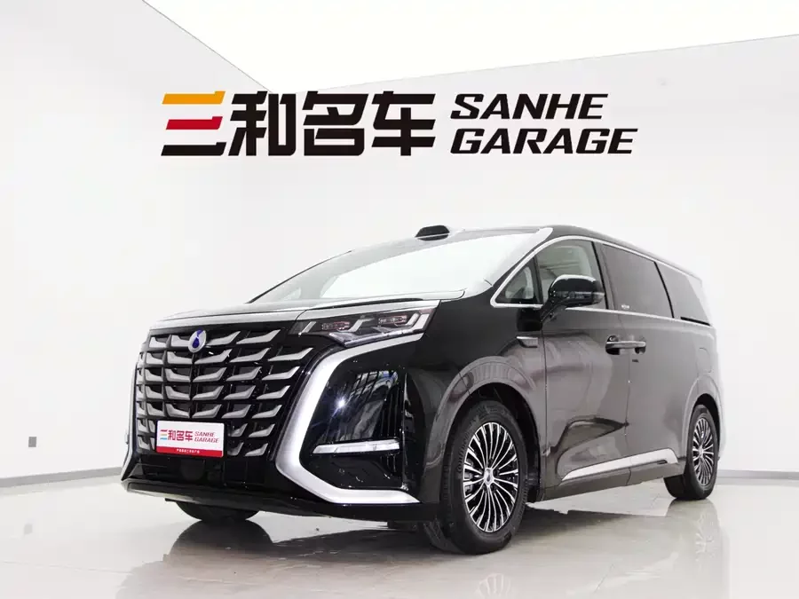 BYD D9