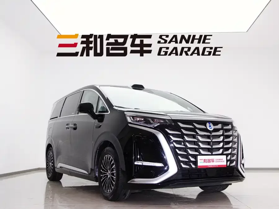 BYD D9