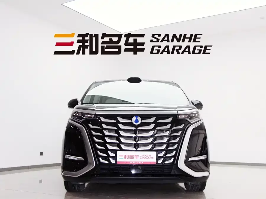 BYD D9
