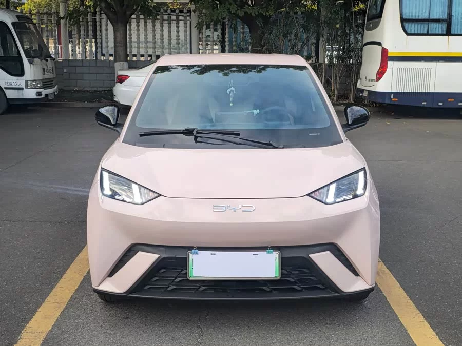 BYD Seagull