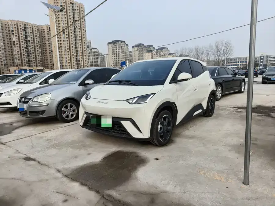 BYD Seagull