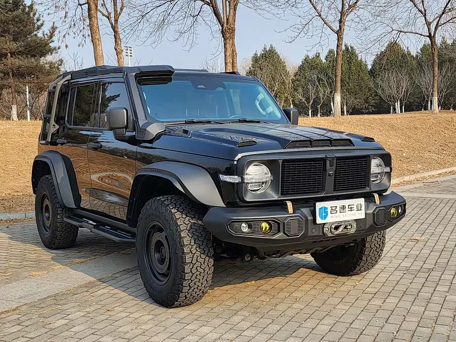TANK 300