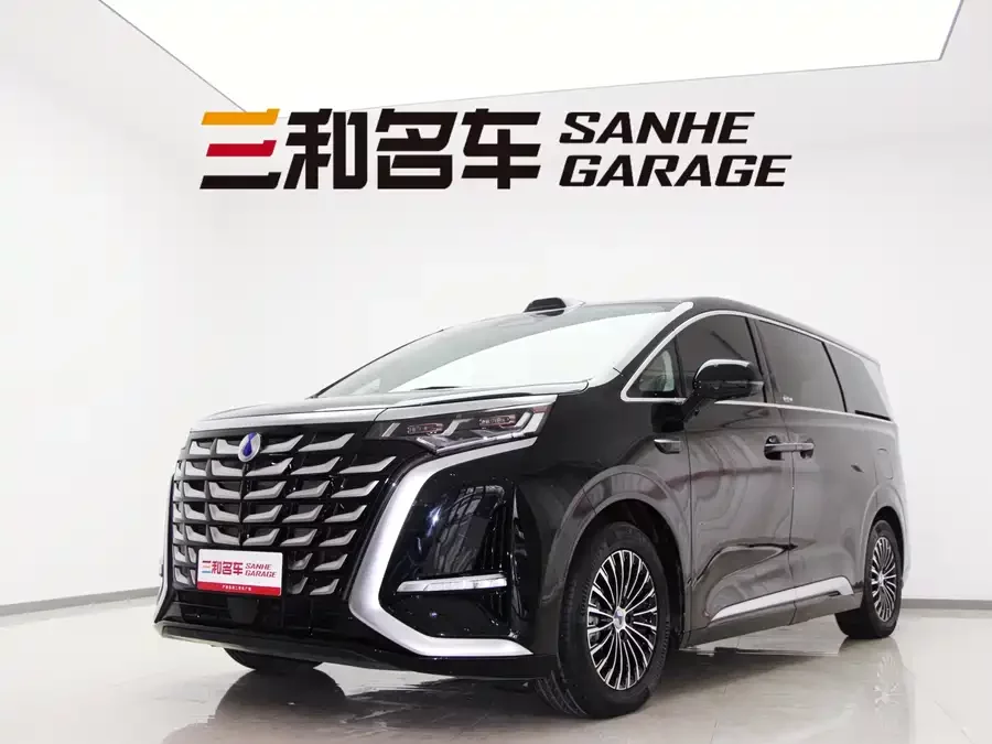 BYD D9