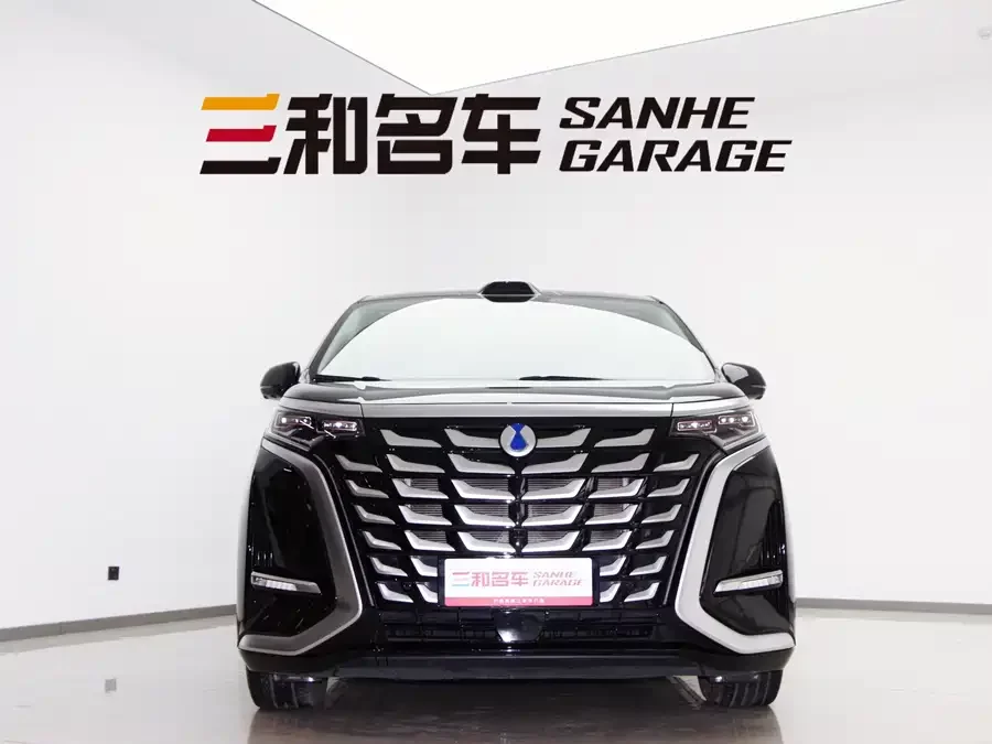 BYD D9
