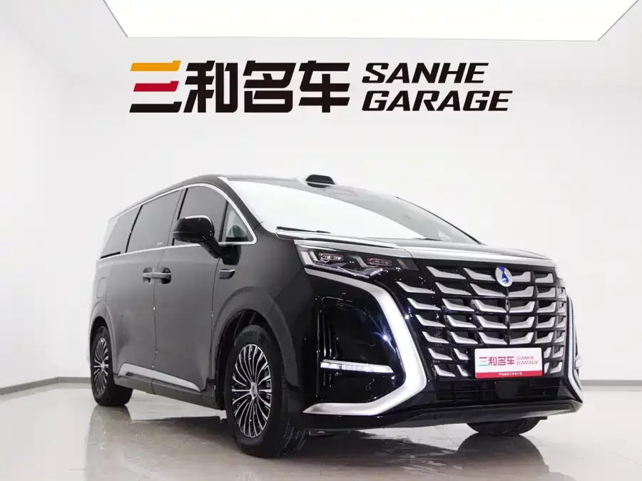 BYD D9