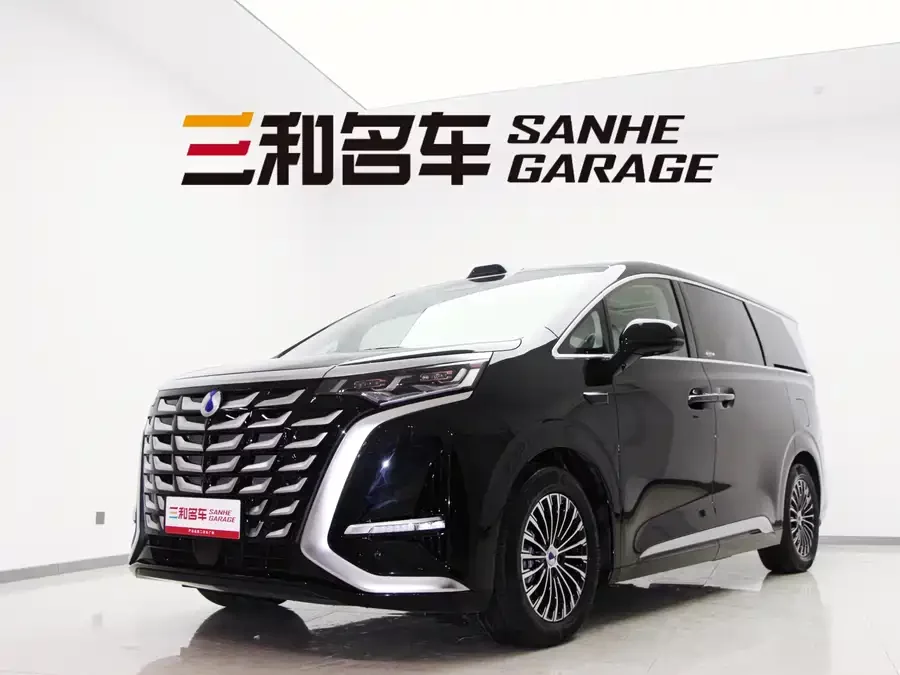 BYD D9