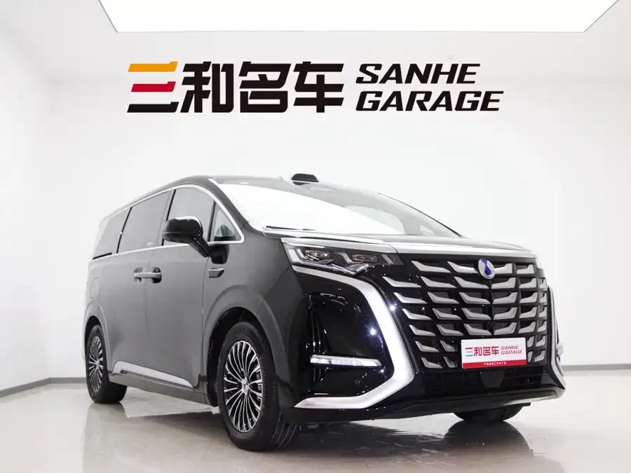 BYD D9