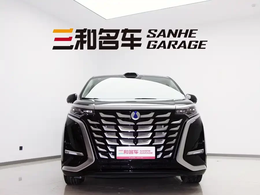 BYD D9