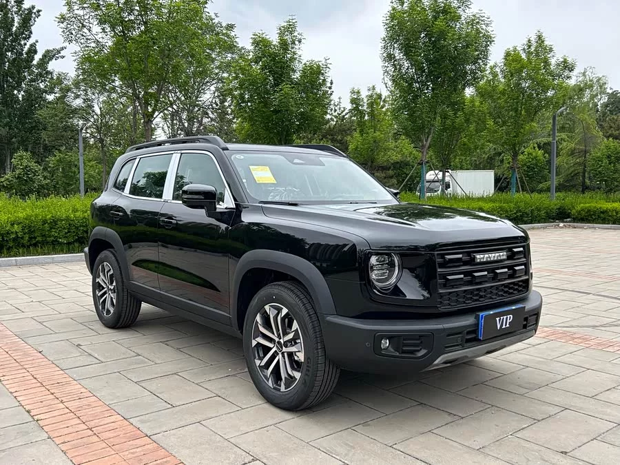 Haval Big Dog DaGou
