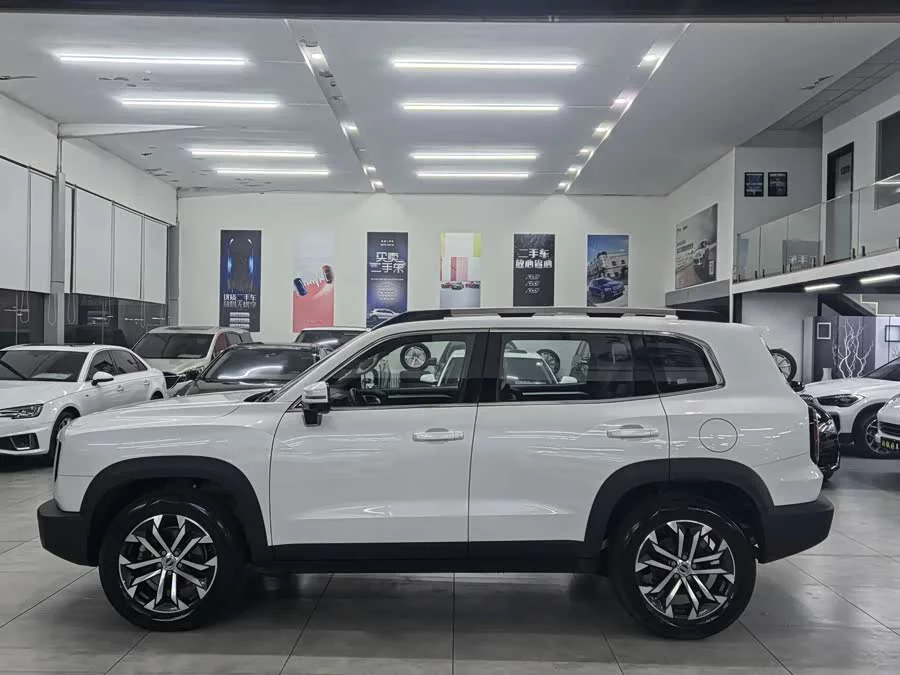 Haval Big Dog DaGou