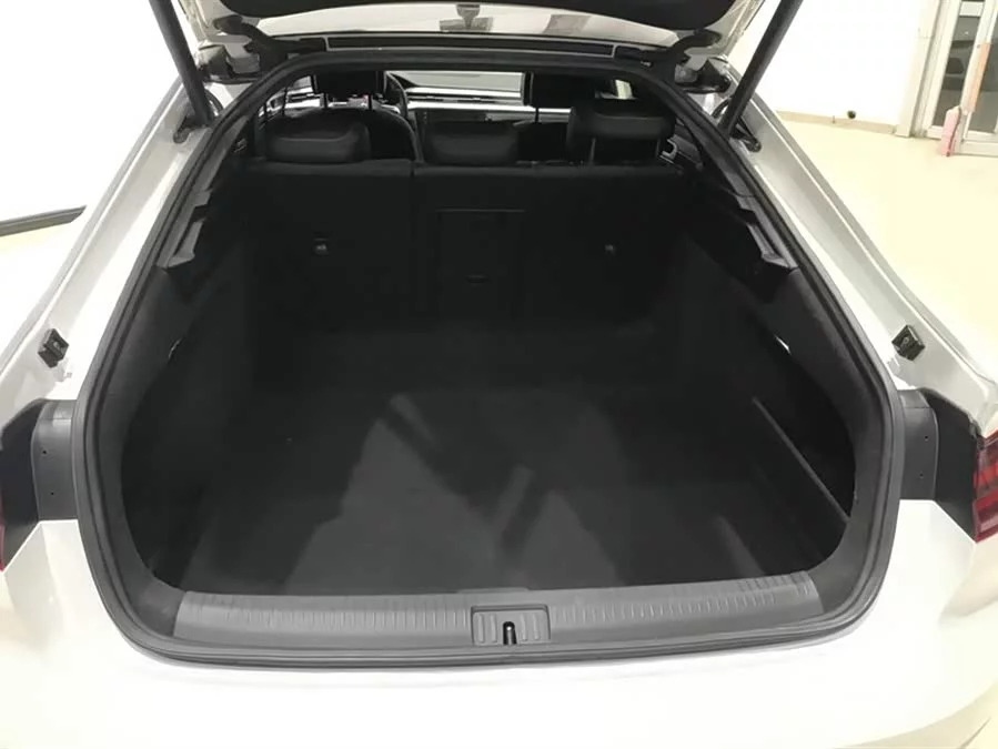 Volkswagen FAW- CC
