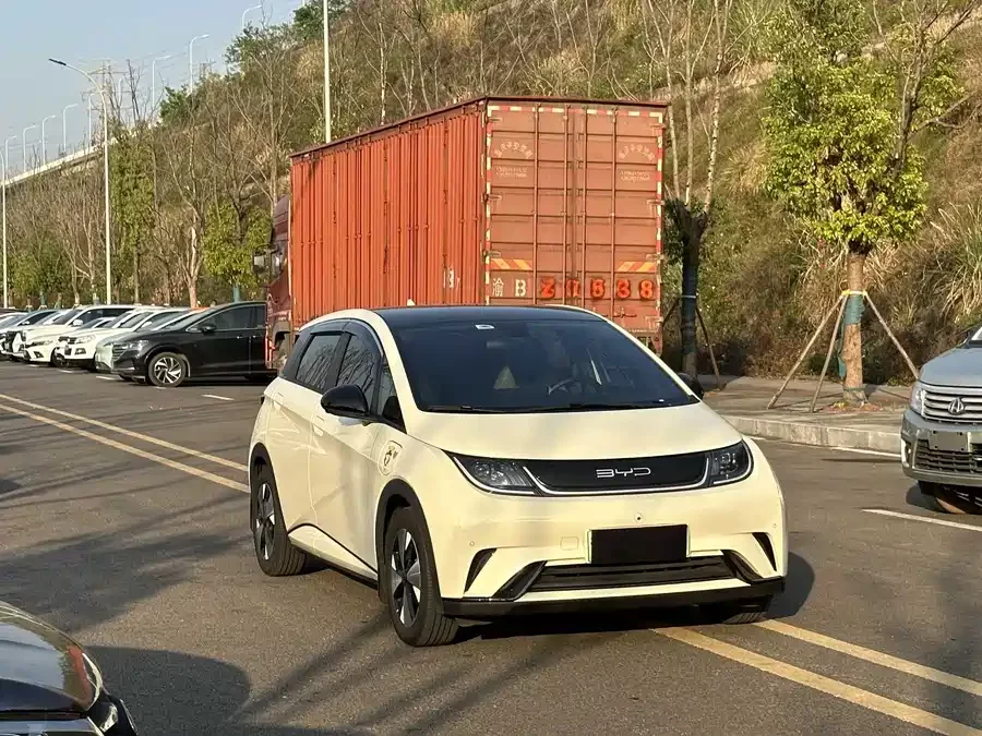 BYD Dolphin