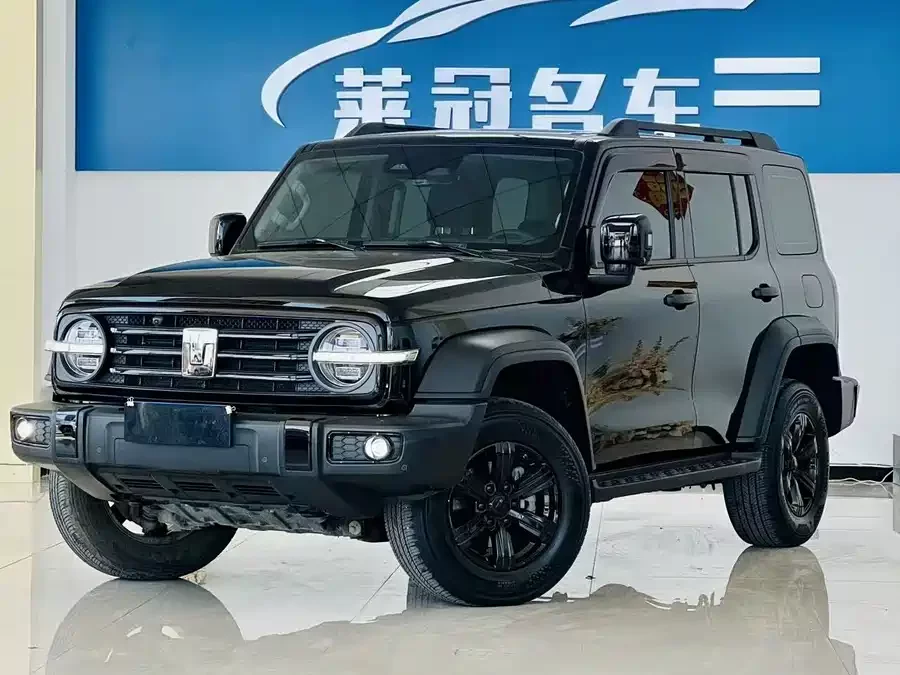 TANK 300
