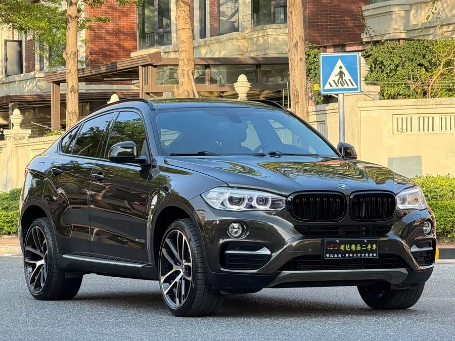 BMW X6