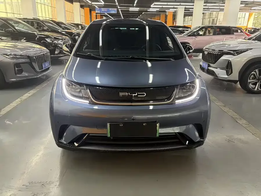 BYD Dolphin