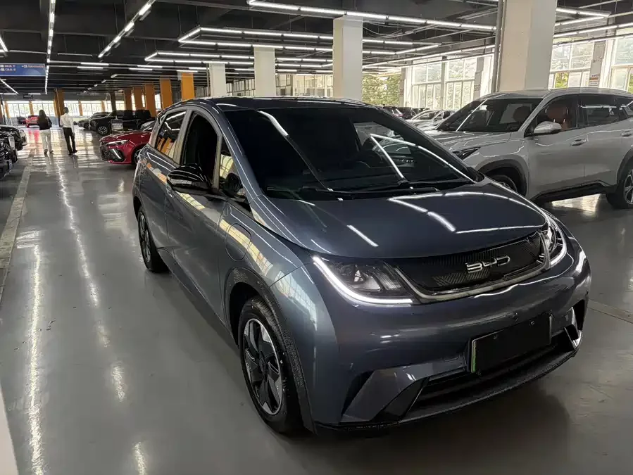 BYD Dolphin
