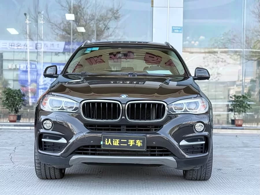 BMW X6