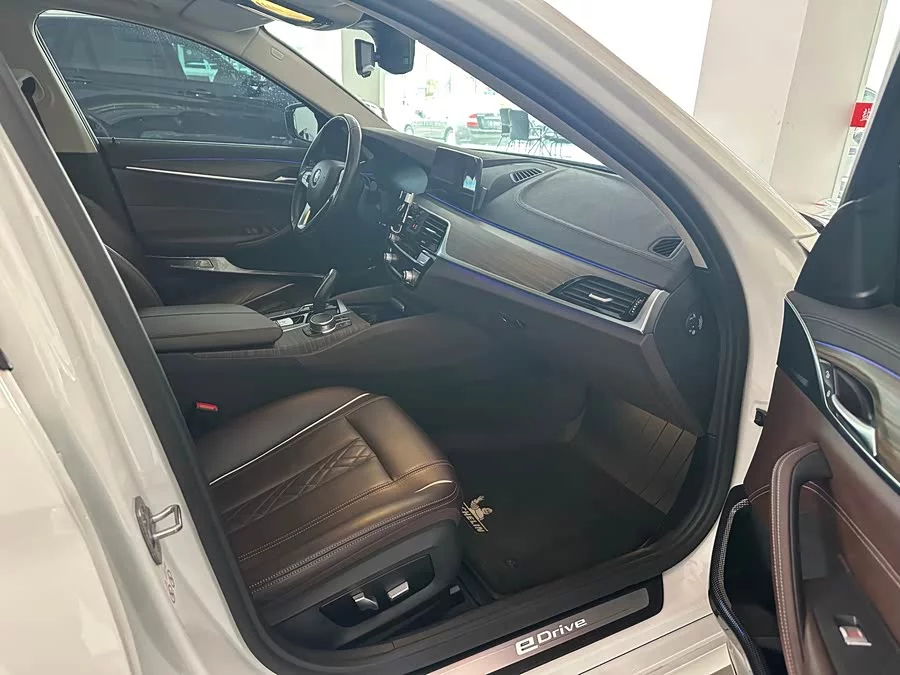 BMW 5 Series New Energy