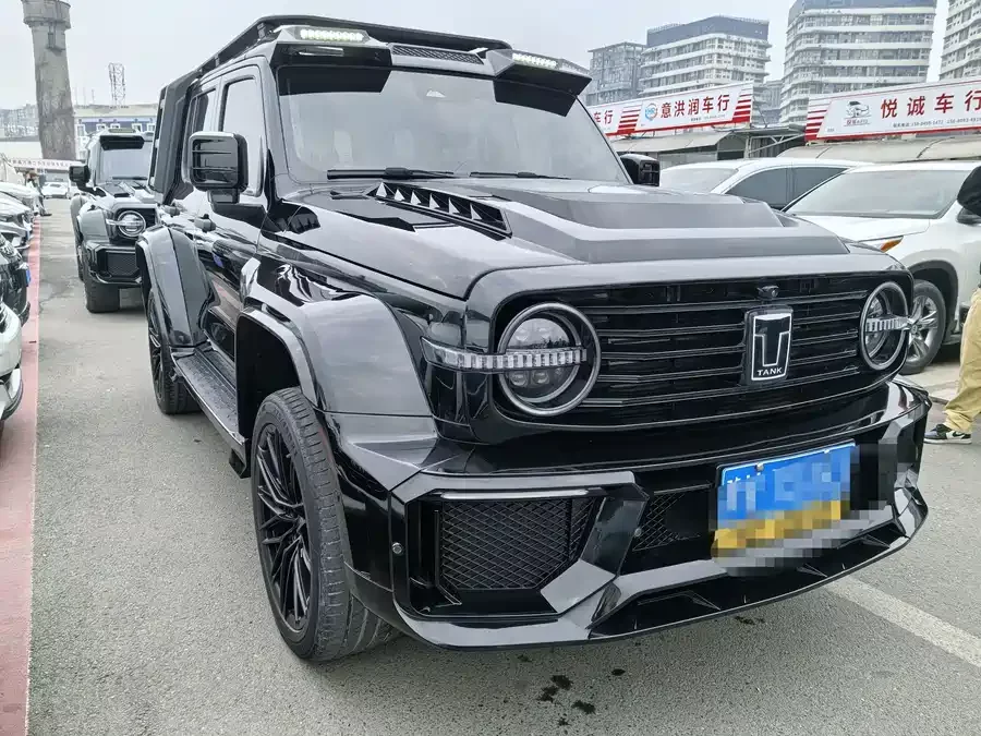TANK 300