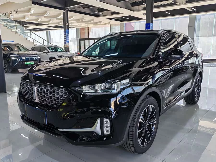 Wey VV6