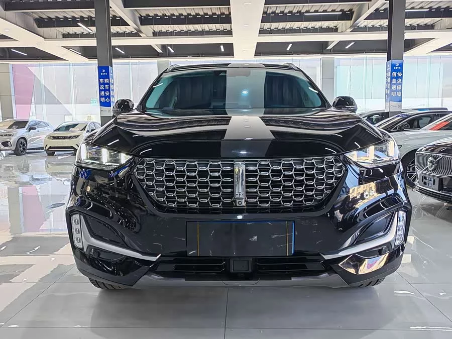 Wey VV6